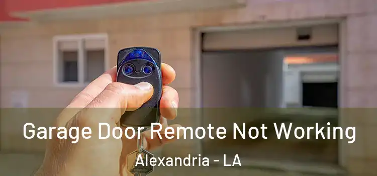  Garage Door Remote Not Working Alexandria - LA