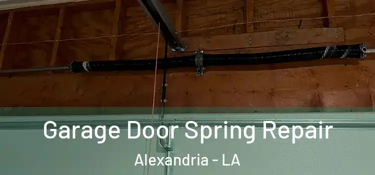  Garage Door Spring Repair Alexandria - LA