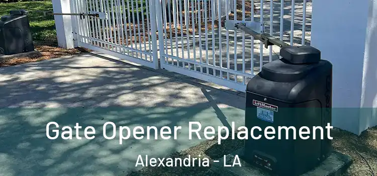 Gate Opener Replacement Alexandria - LA