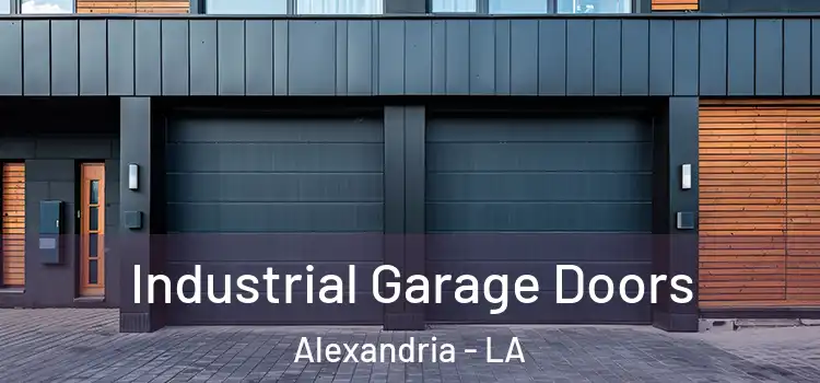  Industrial Garage Doors Alexandria - LA