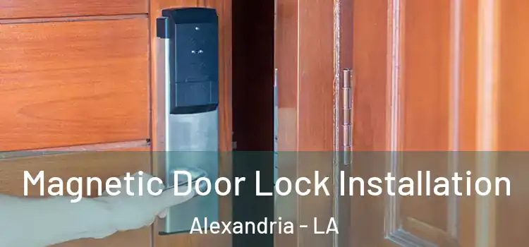  Magnetic Door Lock Installation Alexandria - LA