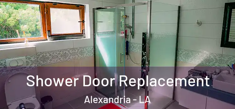 Shower Door Replacement Alexandria - LA