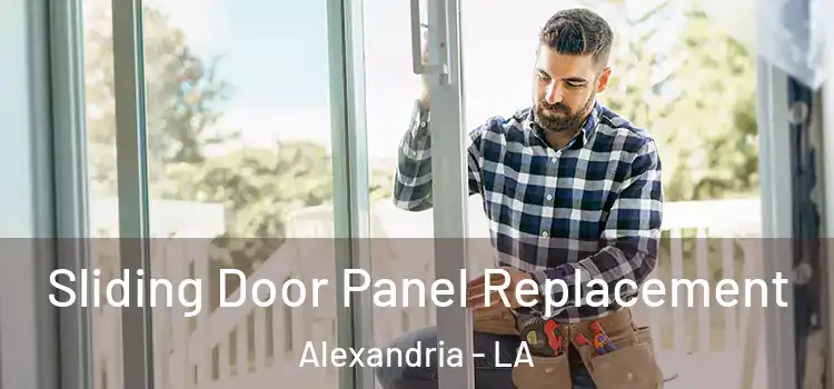  Sliding Door Panel Replacement Alexandria - LA